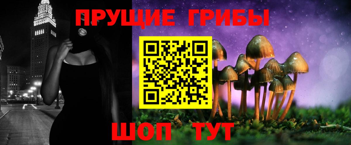 Всеволожск  Галлюциногенные грибы ЛСД  Вход с VPN 